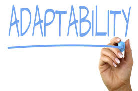 The Word Adaptability Written Out